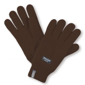 Thinsulate Lined Acrylic Gloves (Womens)